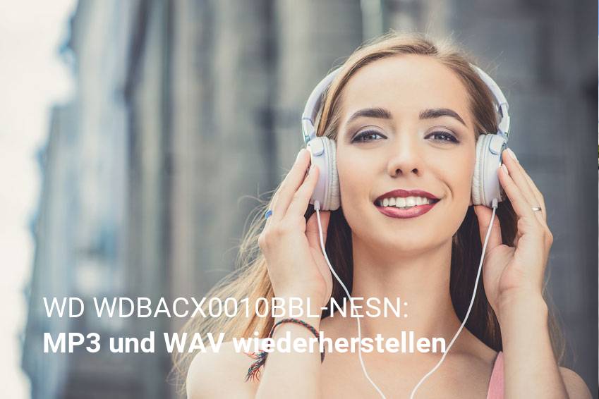 Verlorene Musikdateien in WD WDBACX0010BBL-NESN wiederherstellen